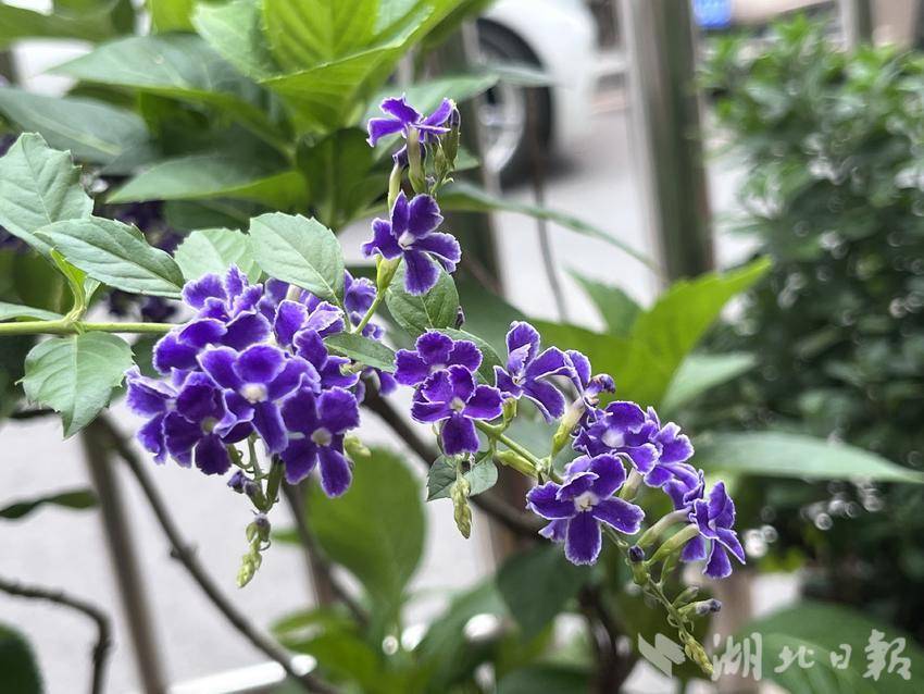 澳门幸运6玩法